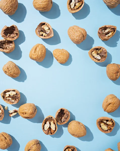 Walnuts whole in their skins, chopped on blue background — Stock Photo, Image