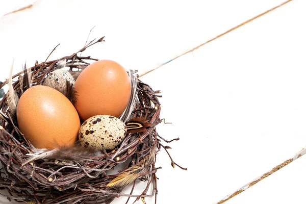 Easter preparation. brown chicken eggs ,nest — Stock Photo, Image