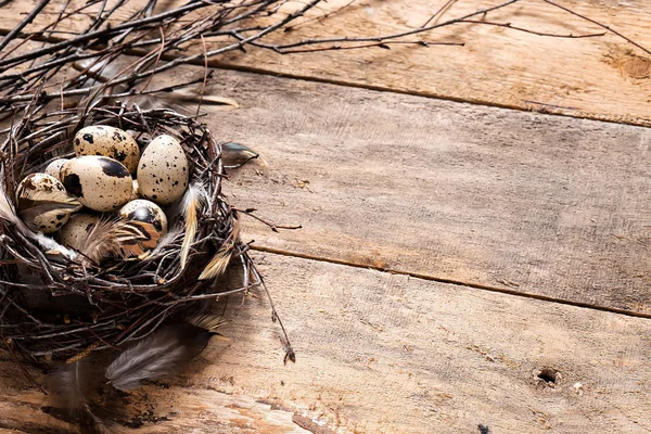 Quail eggs in handmade nest — Stock Photo, Image