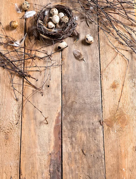 Oeufs de caille dans le nid fait main — Photo