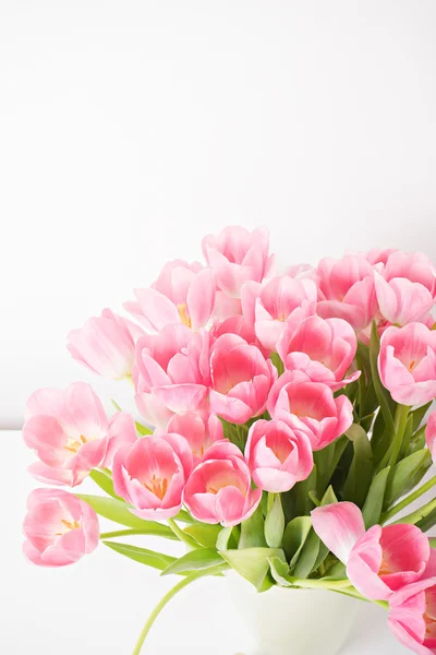 Tulipanes rosados frescos de primavera sobre fondo blanco — Foto de Stock