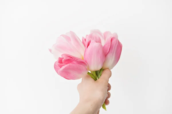 Čerstvý jarní růžové tulipány v ruce na bílém pozadí — Stock fotografie