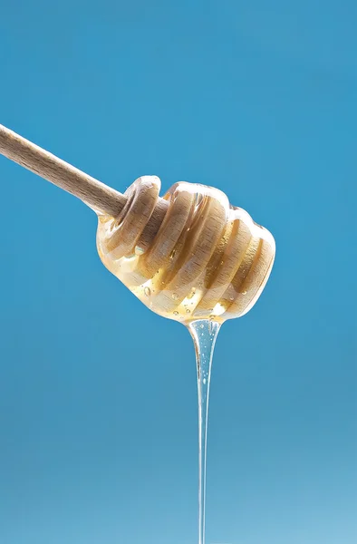Vista de cerca de la miel —  Fotos de Stock