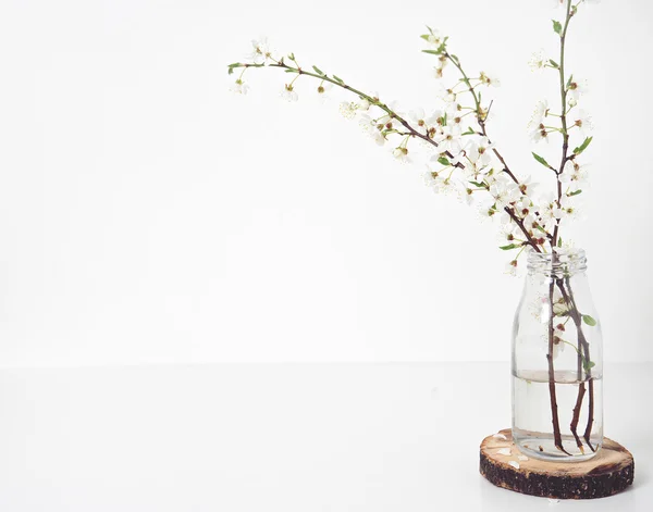 Flores de primavera em vaso na mesa — Fotografia de Stock