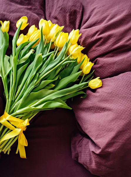 Muchos tulipanes amarillos en la cama — Foto de Stock