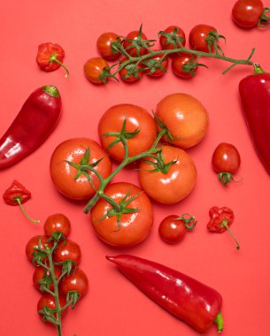 taze kırmızı sebze 