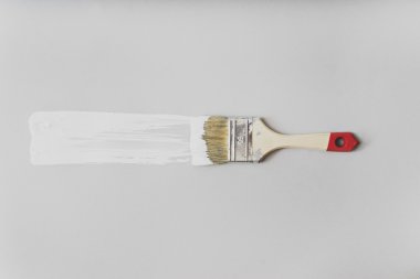 Fırça ve Beyaz Boya