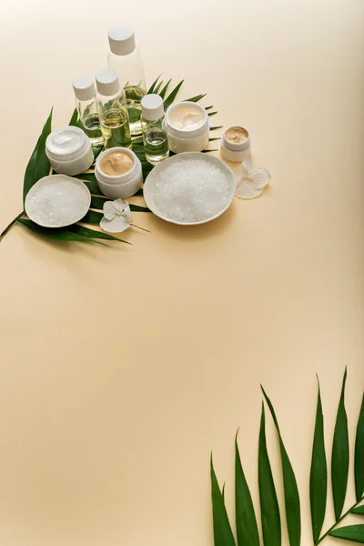 Ingredientes cosméticos caseiros — Fotografia de Stock