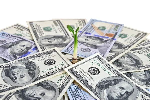 Para 100 büyüme kavramı