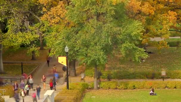 Миннеаполис Штат Миннесота Сша Октябрь 2015 Снимок Студентов Университета Миннесоты — стоковое видео