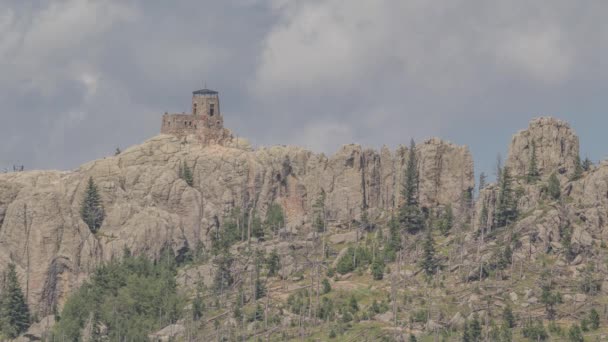 South Dakota Nın Kara Tepeleri Ndeki Kara Geyik Tepesi Nin — Stok video