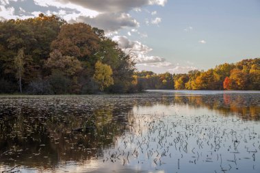 Jensen Gölü 'nde sonbahar renkleri güneşli öğleden sonra