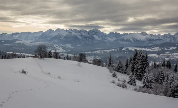 Tatra mountains — Stock Photo, Image