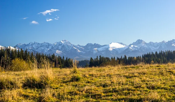Sonbahar dağlar yakınındaki
