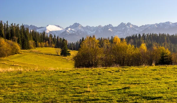 Autumn near mountains — Stock Photo, Image