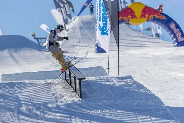 Edvards Lansmanis, Litvanyalı kayakçı 