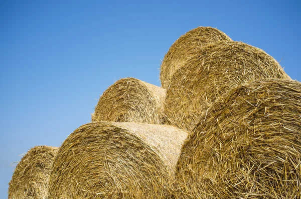 Strohballen im Sommer — Stockfoto