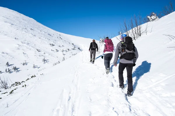 Grupo caminando sobre montañas nevadas —  Fotos de Stock