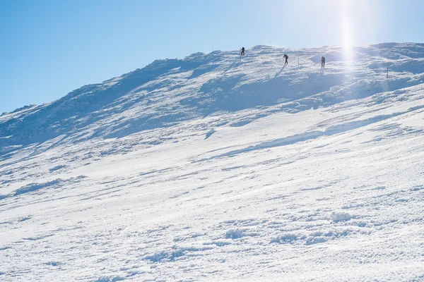 Karlı dağlarda yürüyüş grubu — Stok fotoğraf