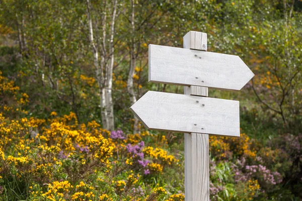 Empty signpost in the mountains — Stock Photo, Image