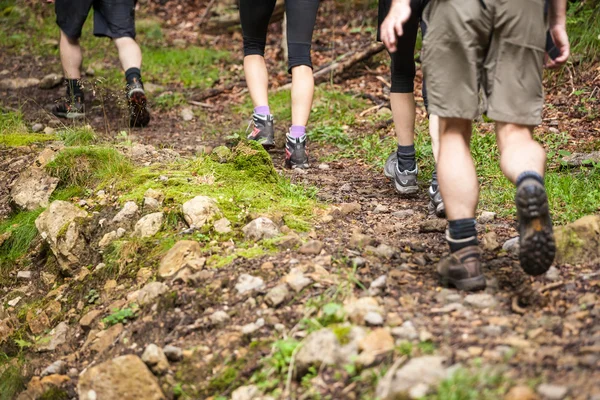 hiking trail yürüyüş turist grup