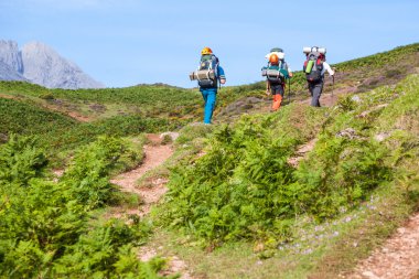 Group of climbers