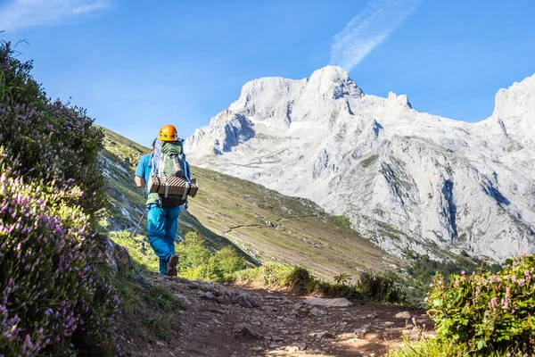 Mann auf einem Berggipfel — Stockfoto