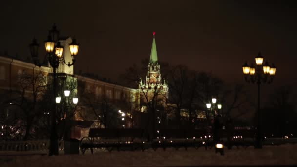 Moskva. Troitskaya står hög av Kreml. Vinter, natt, gatan lampor — Stockvideo