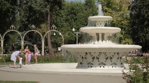 The fountain in the Gorky Park in summer 02 — Stock Video