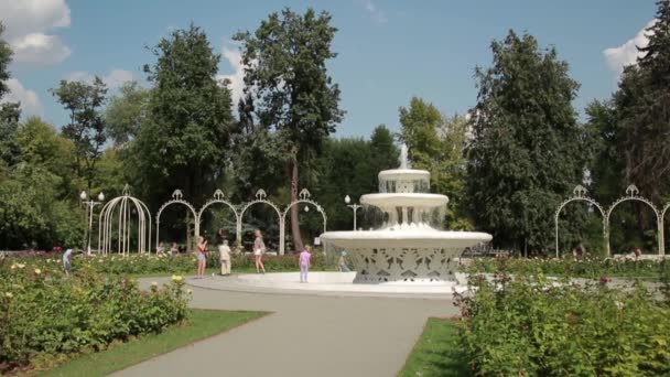 De fontein in de Gorky Park in de zomer 01 — Stockvideo