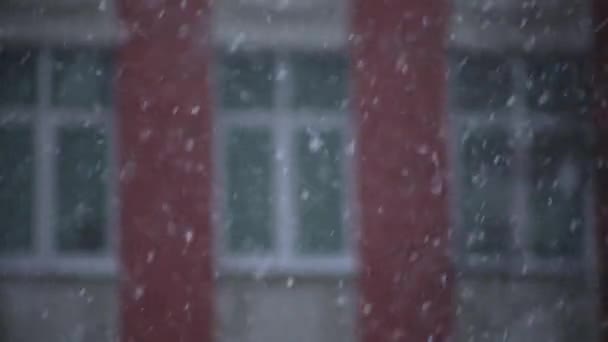 Der Schnee gegen das Fenster. Defokussierung — Stockvideo