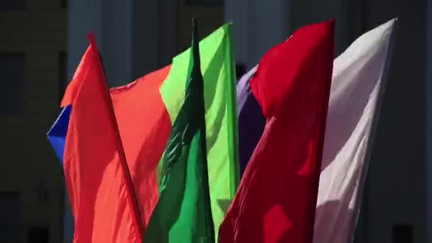 Bandeiras acenando ao vento.. Sunny03 — Vídeo de Stock
