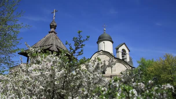 Templet Martyr Tryphon 03 på bakgrund av blommande äppelträd. — Stockvideo