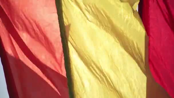 Drapeaux agitant dans le vent. Panorama . — Video