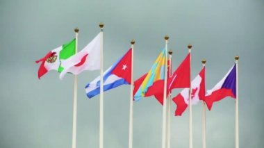 Dünyanın bayrakları.
