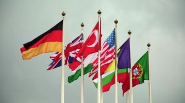 Dünyanın bayrakları.