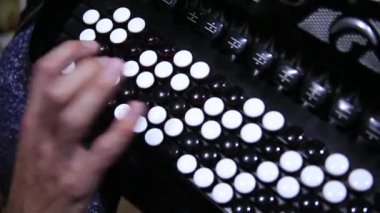 bir akordeon çalıyor