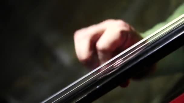 Playing on contrabass — Stock Video