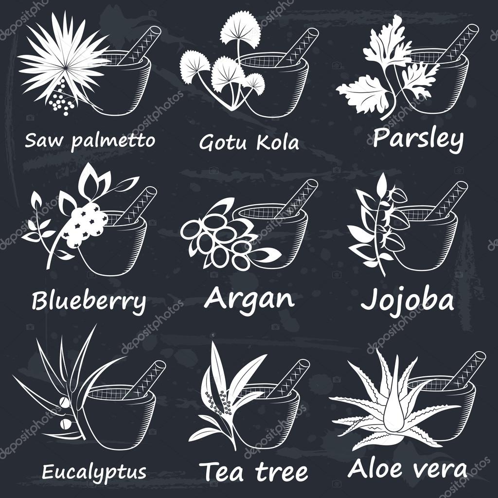 Collection of Ayurvedic Herbs. Labels for Essential Oils and Natural Supplements