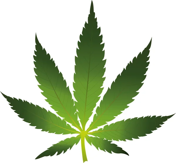 Cannabis leaf pictogram geïsoleerd — Stockvector