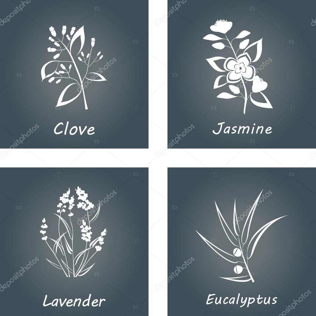 Collection of Herbs . Labels for Essential Oils and Natural Supplements. Lavender, Eucalyptus, Jasmine, Clove