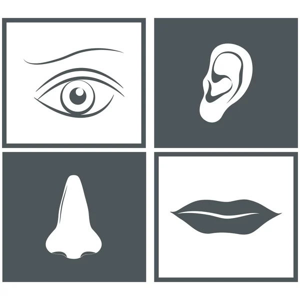 Nose, eye, mouth and ear pictograms — Stock Vector