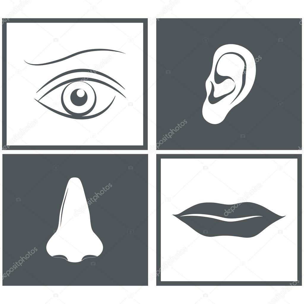 Pictogrammes nez, œil, bouche et oreille Stock Vector by ©y.vainitski 76067861