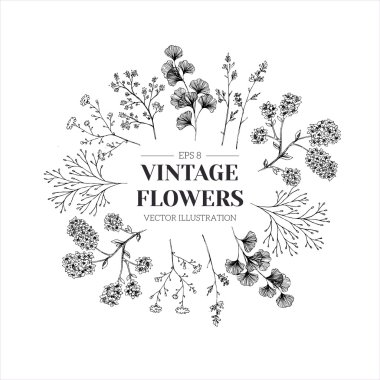 Download Vintage Botanic Free Vector Eps Cdr Ai Svg Vector Illustration Graphic Art