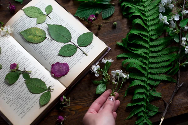 Floral mix of fresh cuted, pressed and dried spring flowers and leafs all decorated in rustic style on dark wood background with female hand arranging all soft focus overhead-angle shot — Stock Photo, Image