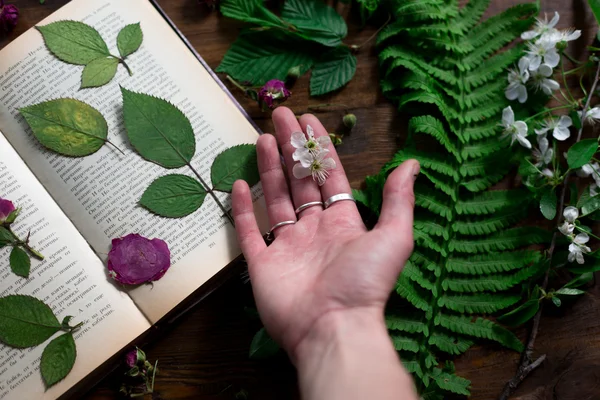 Floral mix van verse cuted, gedrukt en gedroogd voorjaar bloemen en bladeren alle ingericht in rustieke stijl op donkere hout achtergrond met vrouwelijke hand regelen alle Softfocus overhead-hoek schot — Stockfoto