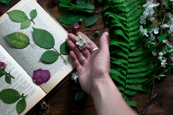 Floral mix of fresh cuted, pressed and dried spring flowers and leafs all decorated in rustic style on dark wood background with female hand arranging all soft focus overhead-angle shot — Stock Photo, Image