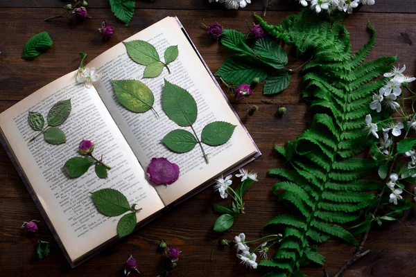 Floral mix of fresh cuted, pressed and dried spring flowers and leafs all decorated in rustic style on dark wood background soft focus overhead-angle shot — Stock Photo, Image