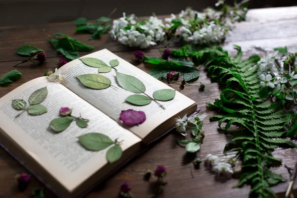 Floral mix of fresh cuted, pressed and dried spring flowers and leafs all decorated in rustic style on dark wood background soft focus overhead-angle shot — Stock Photo, Image