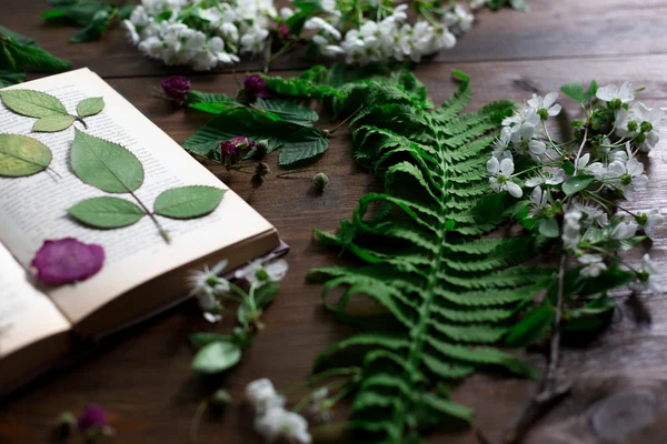 Floral mix of fresh cuted, pressed and dried spring flowers and leafs all decorated in rustic style on dark wood background soft focus overhead-angle shot — Stock Photo, Image